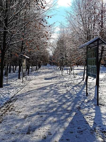 Замок та парк: прогулянка казковим засніженим Луцьком (фото)