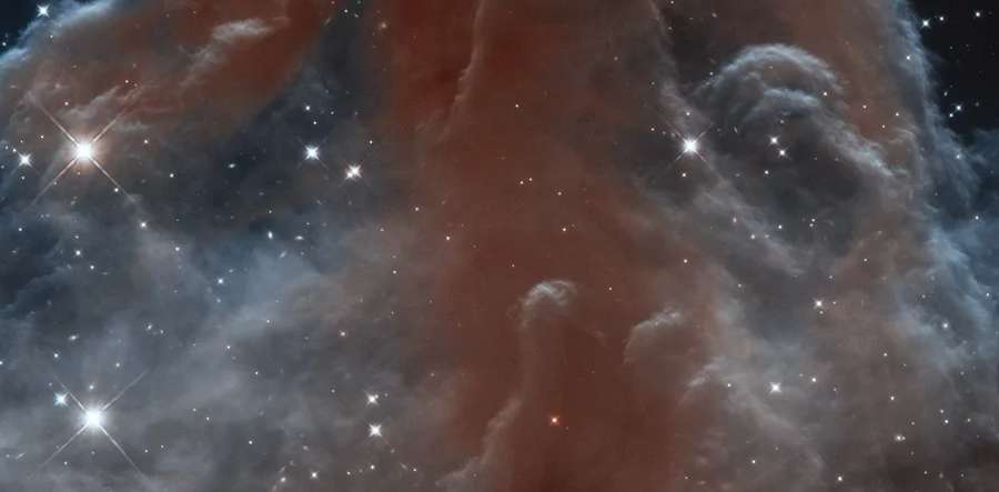 Туманність Кінська Голова в сузір'ї Оріона. Фото 2013 року
