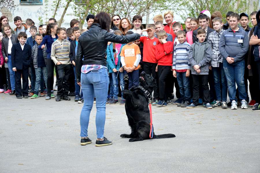 Лікування псами: у Луцьку відбулося заняття для діток (фото)
