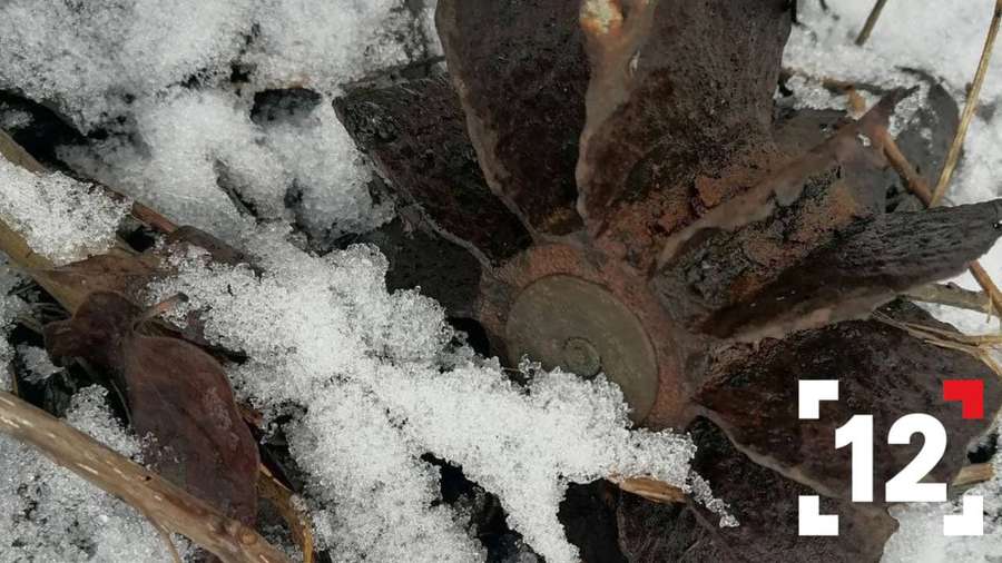 Іржавий хвостовик: у Луцьку на пеньку знайшли частину міни (фото, відео)