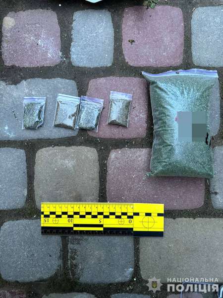 Амфетамін, α-PVP, канабіс: у Луцьку затримали чоловіка з наркотиками (фото)