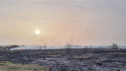 У Луцькому районі горіли півтора гектара сухостою (фото)
