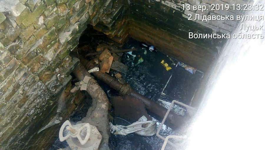 Голови та кістки мертвятини: муніципали знайшли джерело смороду в Луцьку (фото)