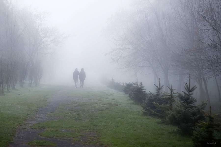 Туманні етюди: фотограф показав світлини ранкового Луцька (фото)