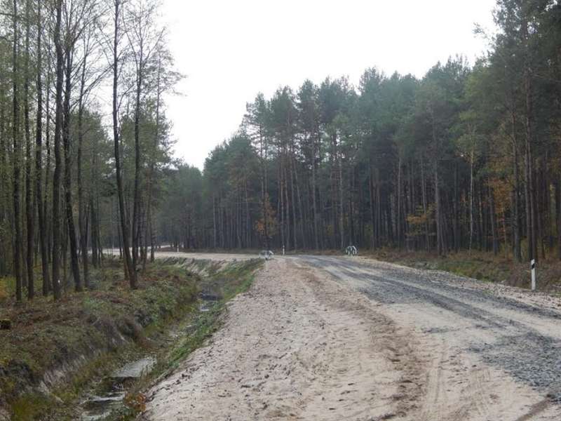 На Волині проклали більше 100 км лісових доріг (фото)