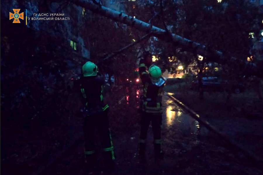 Пошкоджені авто й перекриті дороги: на Волині буревій повалив дерева (фото, відео)