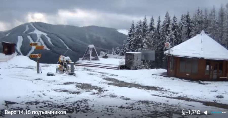 У Карпатах випав сніг  (фото, відео)