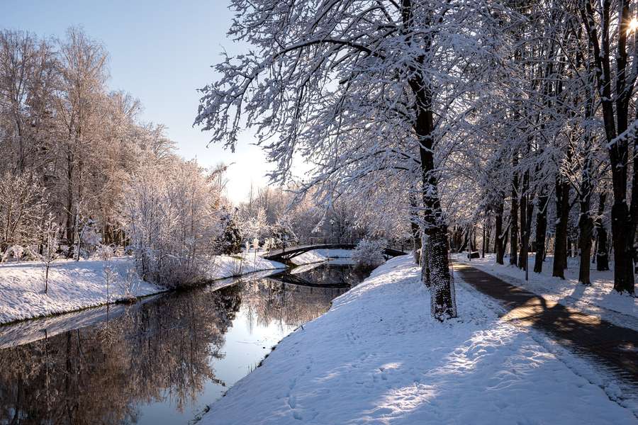 Сніжний ранок посеред весни: казкові фото Луцька