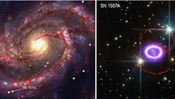 NASA знайшла зірки, як вибухом можуть знищити подібні на Землю планети (фото)