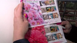 Тваринки та квіти: у Луцькому зоопарку представили власні поштові марки (фото, відео)