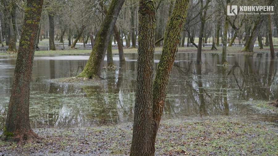 Мокрий луцький парк, або Як алеї тонуть у воді (фото)