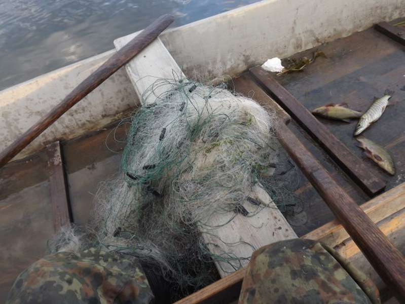 На Волині незаконно виловили понад 60 кілограмів риби (фото)