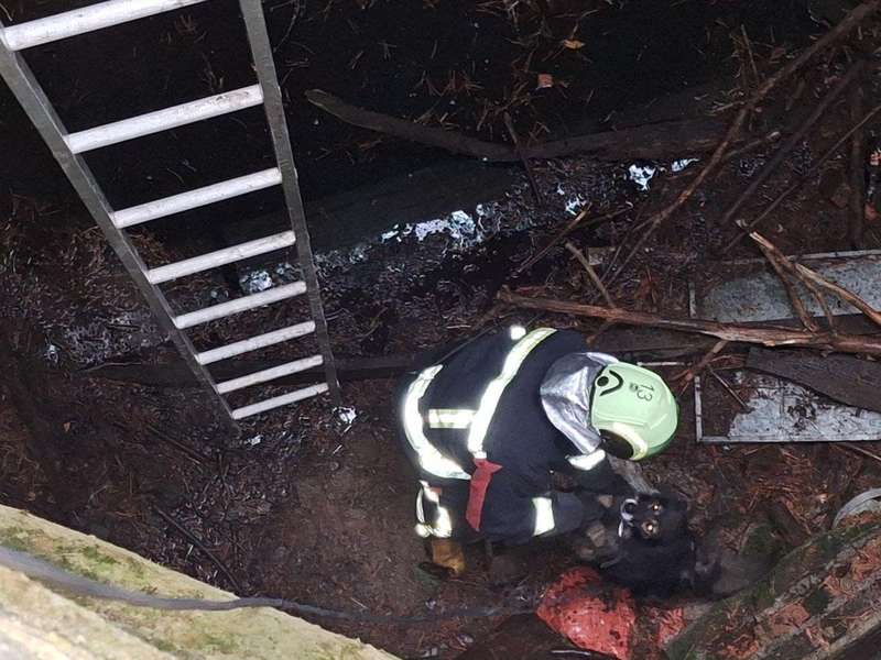 Волинські рятувальники визволяли собаку, який впав у п'ятиметрову яму (фото)