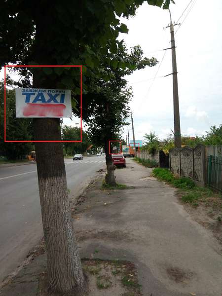 Лучан просять повідомляти про незаконну рекламу на деревах (фото)