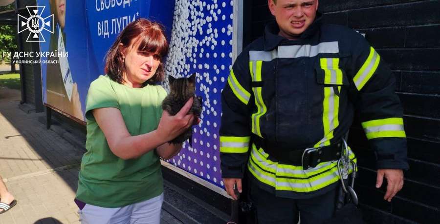 У Луцьку рятувальники дістали котика з водяної пастки (фото)