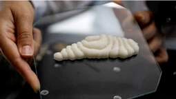 Можна їсти: в Ізраїлі на 3D-принтері вперше в історії надрукували філе риби (фото)