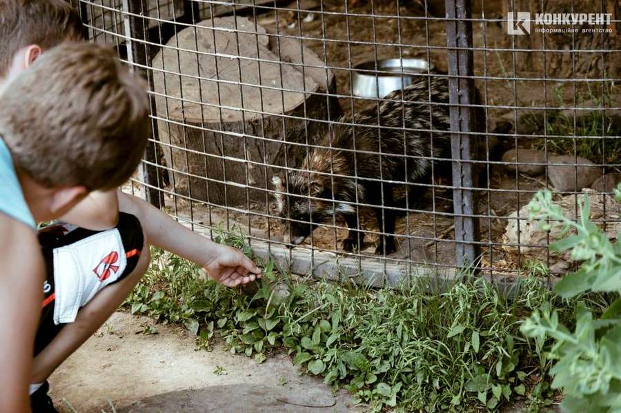 Заквітчано та людно: літня екскурсія Луцьким зоопарком (фото)
