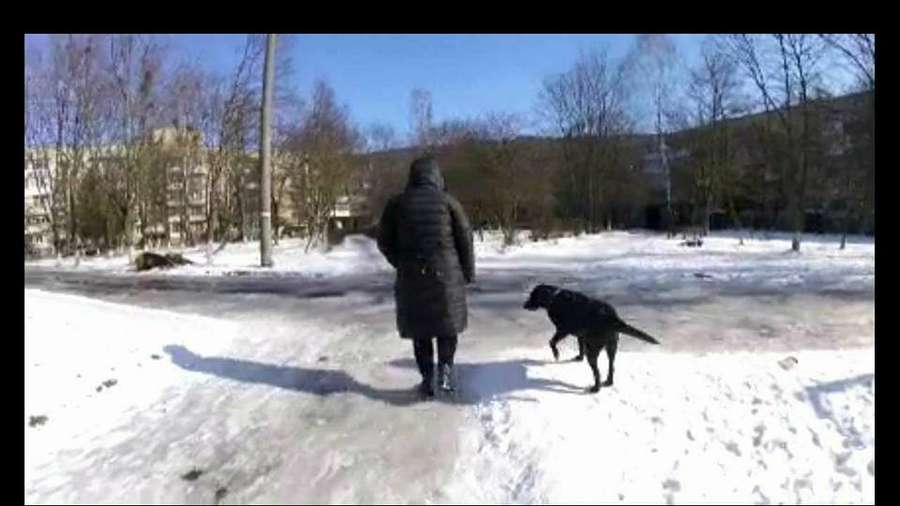 Даму з собачкою оштрафували за відмову прибрати справлену нужду на дитячому майданчику у Луцьку 