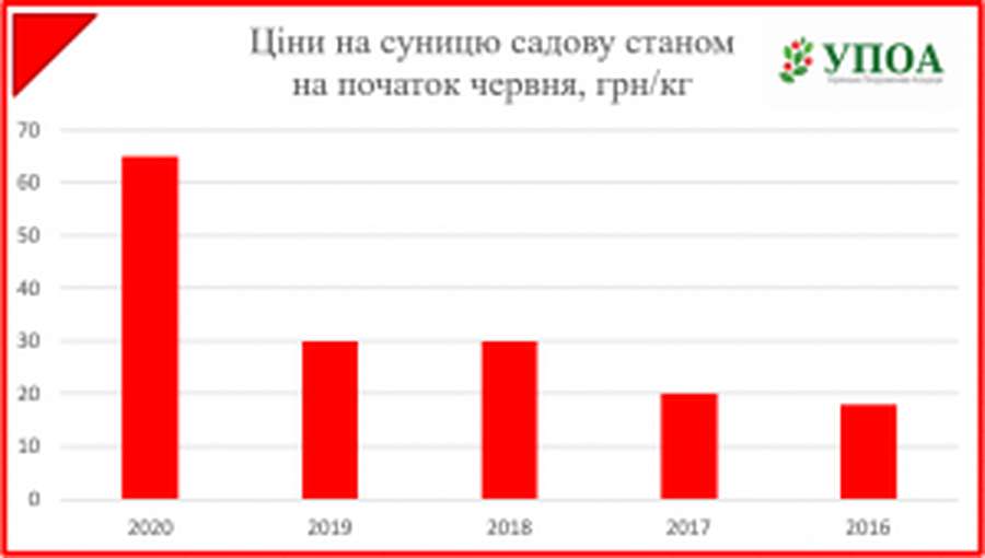 В Україні зафіксовані рекордні ціни на полуницю за останні 5 років