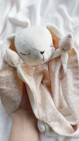 Інстабізнес на Волині: «зайчики-засинайчики» для міцного сну малечі (фото)