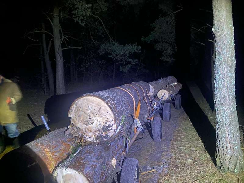 Рубали дерева і розставляли пастки на тварин: на Ковельщині зловили лісопорушників (фото)