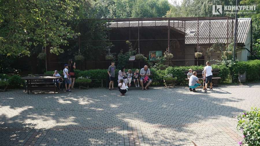 Спека і мокрі носики: останні дні серпня у Луцькому зоопарку (фото)