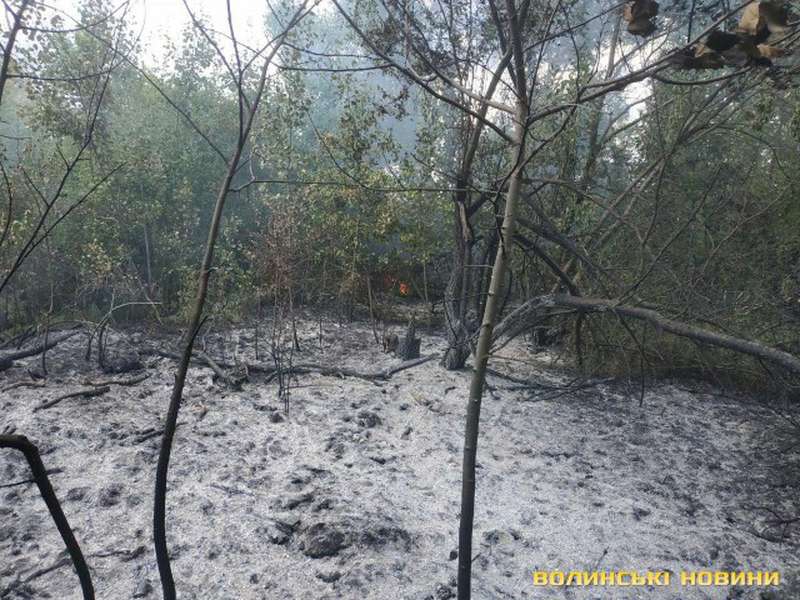 В Озерці – пожежа: зайнявся понад гектар лісу (фото)