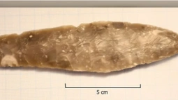 Школярка з Норвегії випадково знайшла кинджал кам'яної доби
