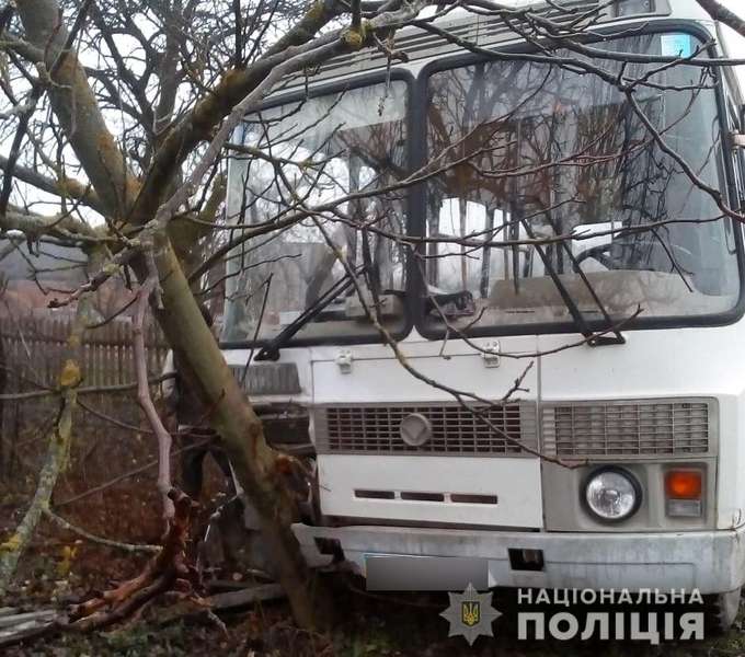 Водію стало зле: на Волині шкільний автобус в’їхав у паркан і дерева