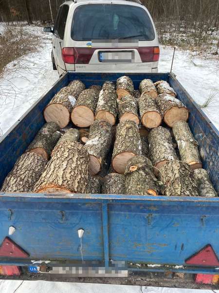 Рубали дерева і розставляли пастки на тварин: на Ковельщині зловили лісопорушників (фото)