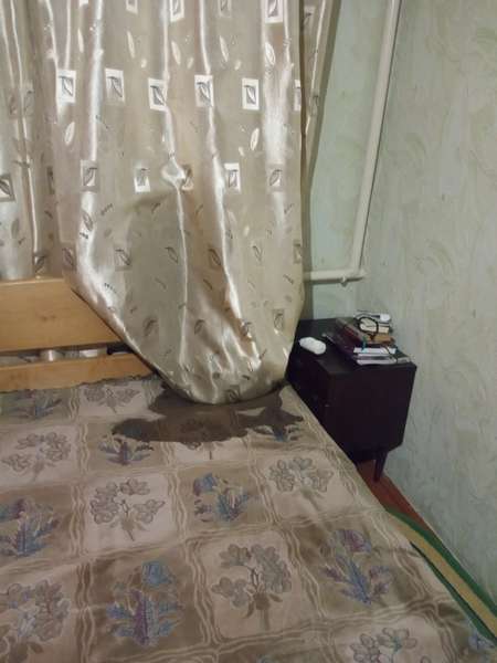 У Луцькому районі в будинок священника УПЦ закинули відра з гноївкою (фото)