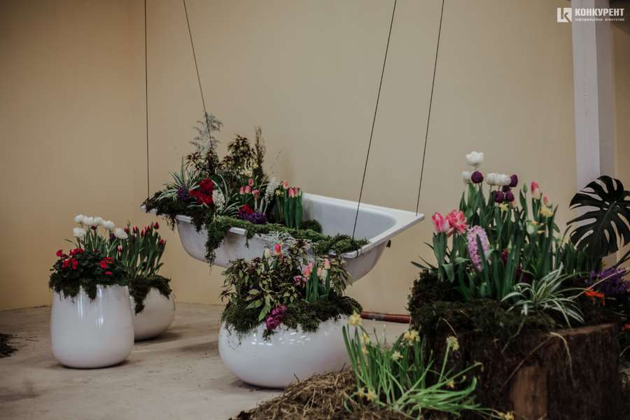 Armani, Dior та ванна у квітах: біля Луцька – pre-party «Волинської Голландії» (фото)
