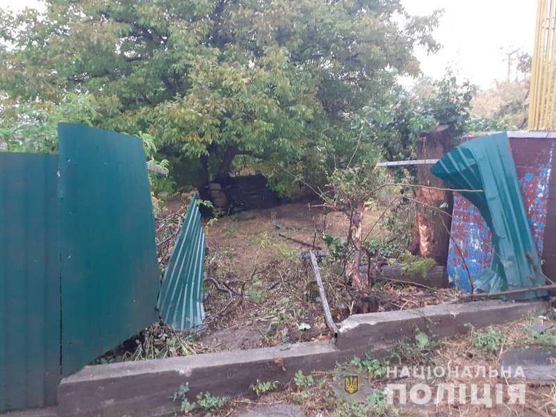 На Київщині п'яний підліток влаштував смертельну ДТП (фото)