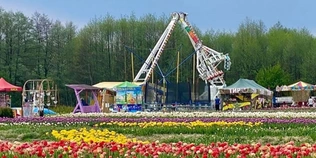 Не тільки тюльпани: у «Волинській Голландії» підготували розваги для дітей (фото)