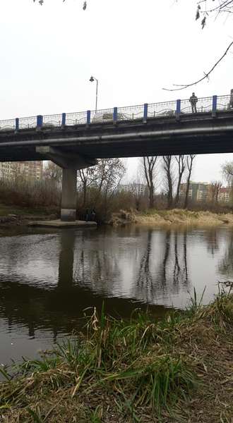 Їхав на обід і врятував чоловіка: деталі інциденту на мосту в Луцьку