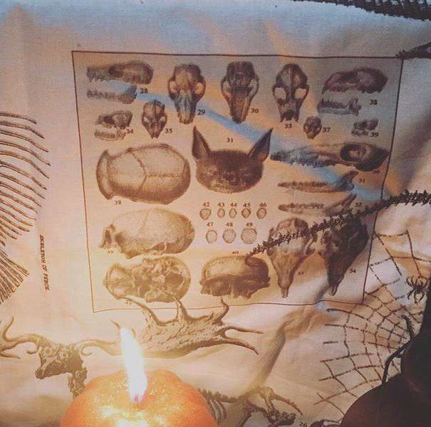 «Сатанинські жертвоприношення котиків – вигадка», – вікканка про справжні ритуали на Геловін (фото)