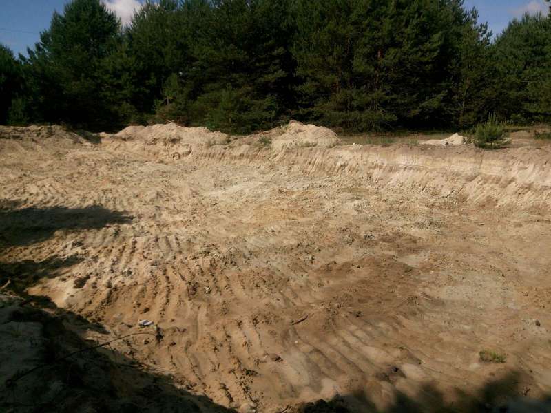Самовільно добували пісок та різали дерева: на Волині виявили екопорушників (фото, відео)