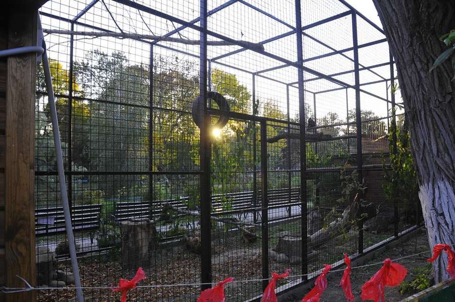 У «Луцькому зоопарку» з'явилися нові мешканці (фото)