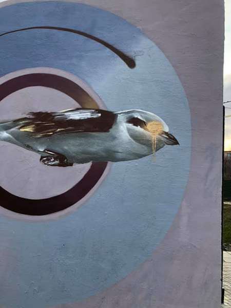 У «Сіті Парку» вандали зіпсували експозицію художника (фото)