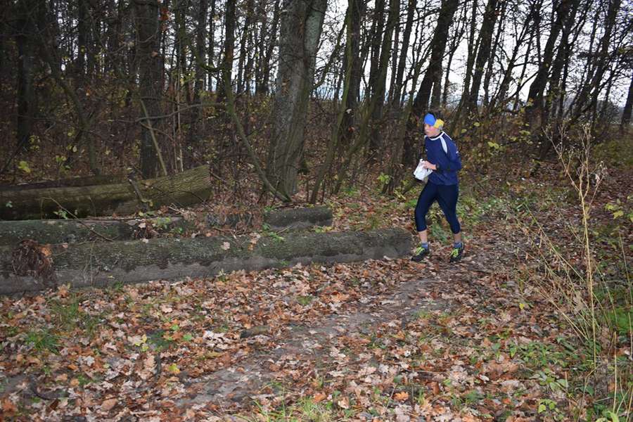 Понад тисячу дітей бігали за медалями по лісах Волині