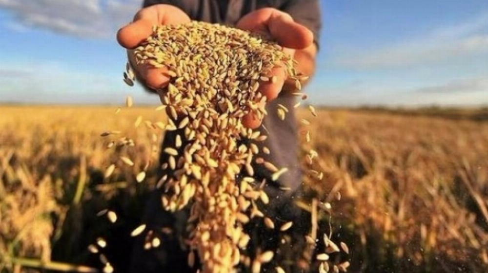 Україна експортувала аграрну продукцію до ЄС на 3,6 мільярда доларів