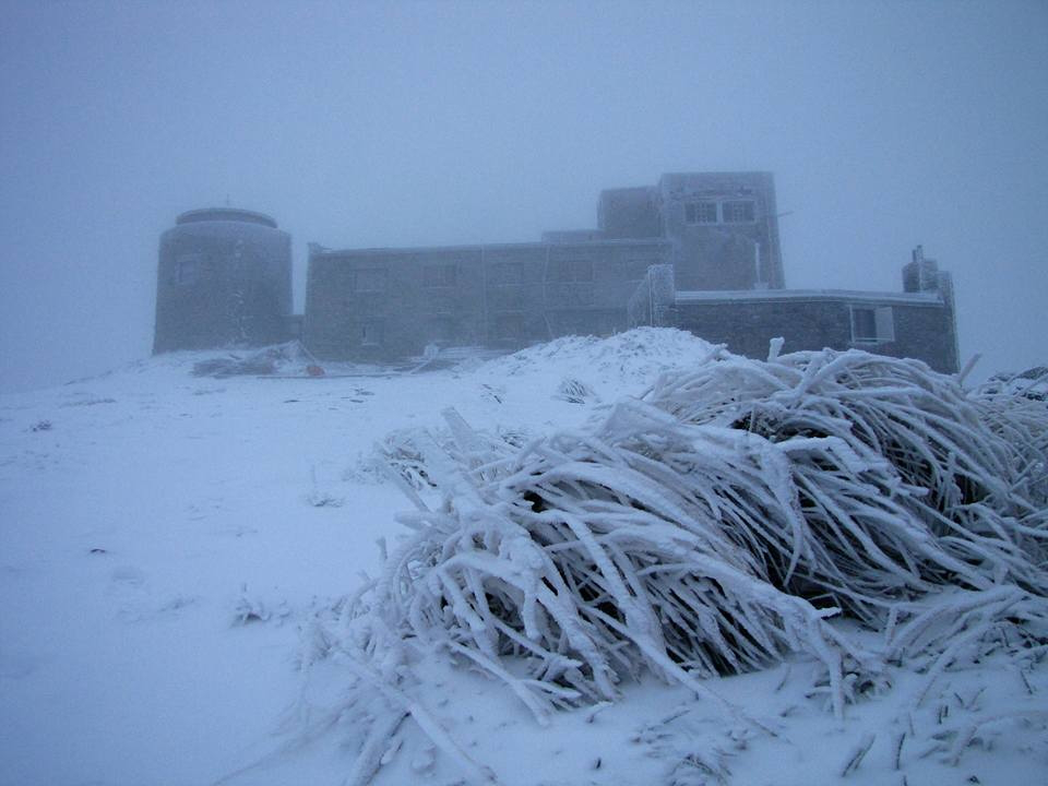 У Карпатах випав сніг (фото) 