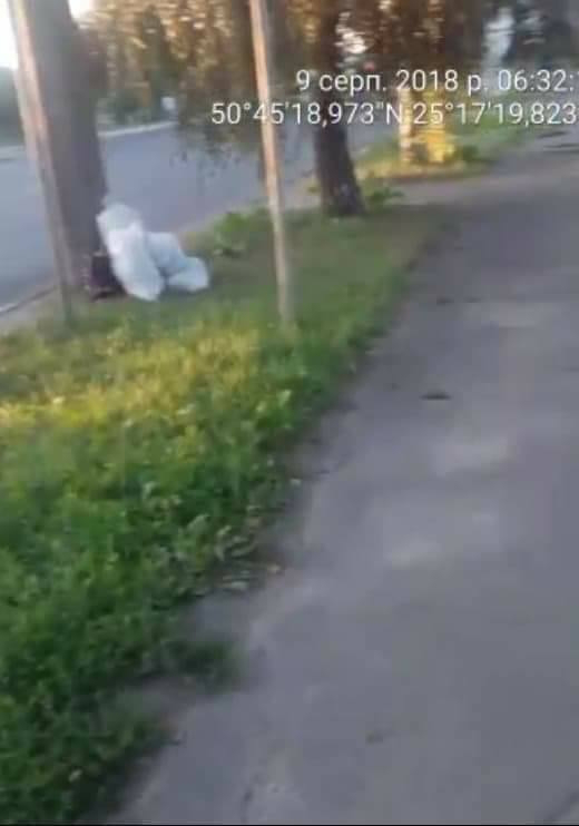 Лучанка винесла на дорогу сміття, попри контейнер на подвір'ї (фото) 
