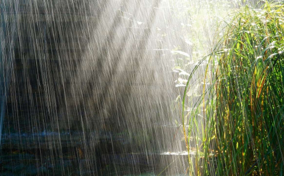 Дощі повертаються: погода в Луцьку на понеділок, 23 липня 