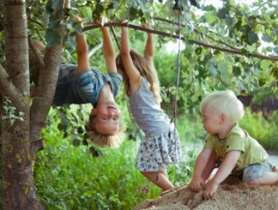 Лазити по деревах — заняття, що гартує характер дитини, — Супрун