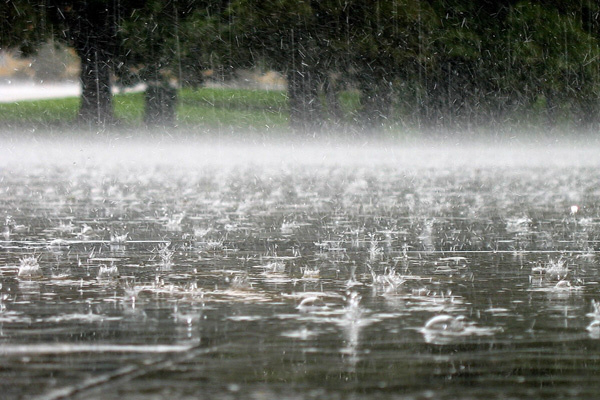 Ніякої спеки та дощ: погода у Луцьку на неділю, 1 липня