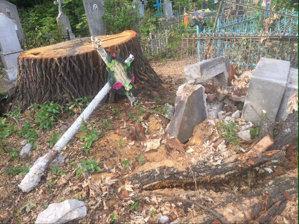 Ківерцівських комунальників звинувачують у вандалізмі на кладовищі