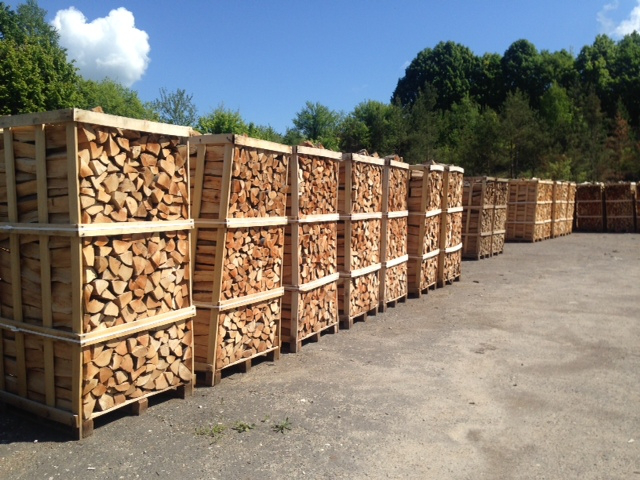 Незаконний експорт: на Волині бізнесмен намагався вивезти деревину в Євросоюз 