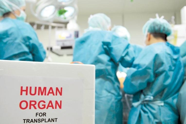 Рада ухвалила закон про трансплантацію: як голосували волинські депутати