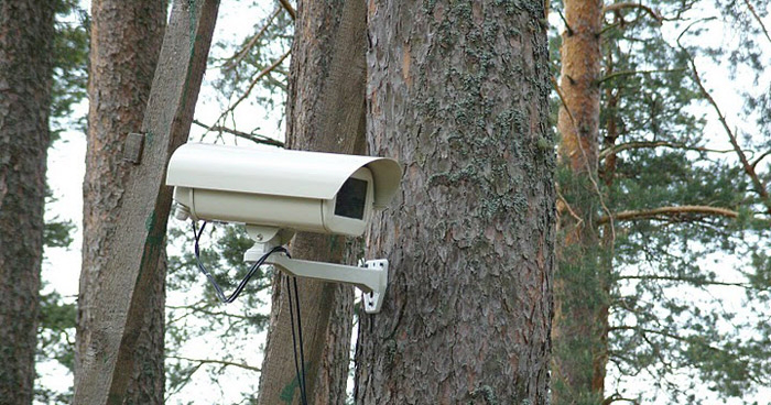 На Волині в лісах встановили камери 